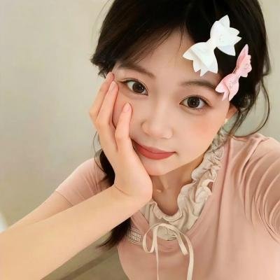 特勤精英